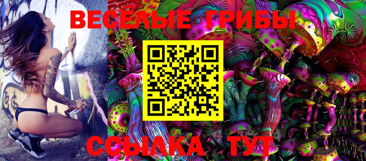 Полевской  Галлюциногенные грибы Magic Shrooms  где найти   Вход с VPN 